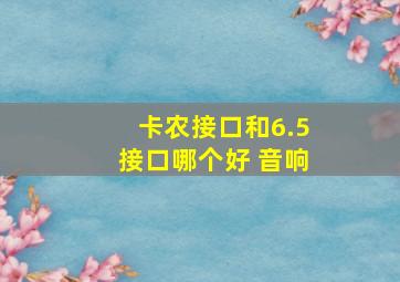 卡农接口和6.5接口哪个好 音响